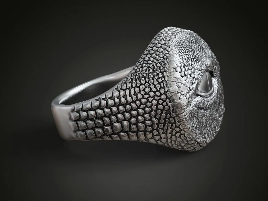 Silver ring featuring a detailed dragon eye and intricate skin scales, symbolizing power and mystery, perfect for those who embrace a bold style.